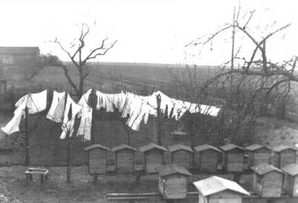 065 0056 Die Bienenstoecke von Lehrer Kabick in Moterau