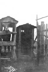 067 0011 November 1934 Diese Transportkisten standen schon lange bereit damit die Elche sich daran gewoehnen konnten
