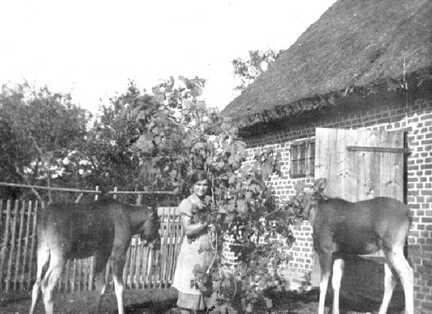 067 0018 Edith Brack mit den Jungelchen in Lieblacken