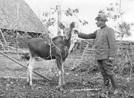 067 0019 Max Brack 1934 mit einem Elchkalb in Lieblacken