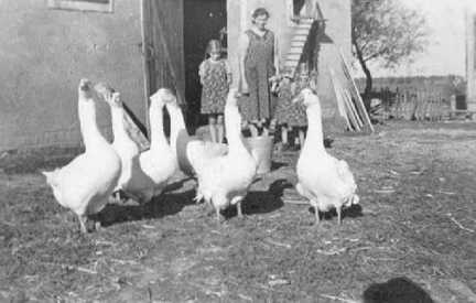 067 0049 Ella Gronau mit ihren Kindern Anita Brigitte und Ilse im Hof ihres Anwesens