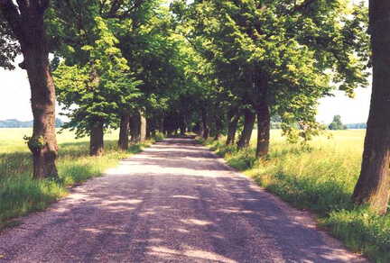 067 1001Die Strasse nach Neuendorf Foto Erna Basczok Juli 1999