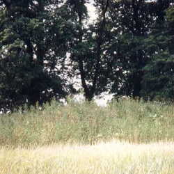 Neuendorf 067