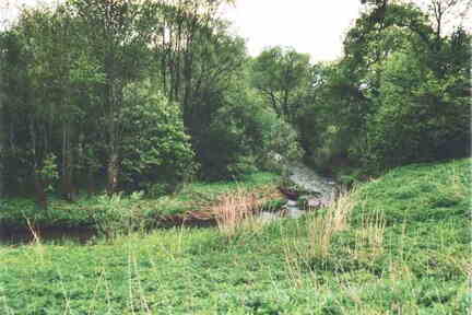 068 1006 Die Omet in Neumuehl
