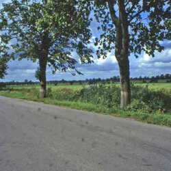 Neumuehl 068