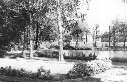 069 0002 Der Teich der Familie Soll in Nickelsdorf