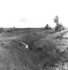 069 0023 Feldweg zur Leipener Forst