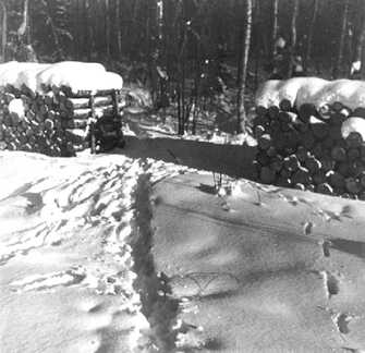 069 0027 Verschneites Langholz