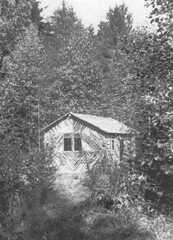 069 0047 Gartenhaeuschen in Romeykes Wald