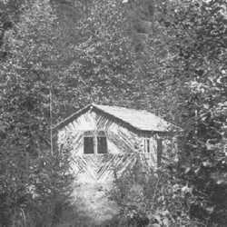 Nickelsdorf 069