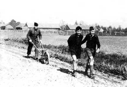 069 0053 Auf dem Felde von Lehrer Kusch Hinten Guenter Kusch vorne Kurt Emke und Rudi Treppner