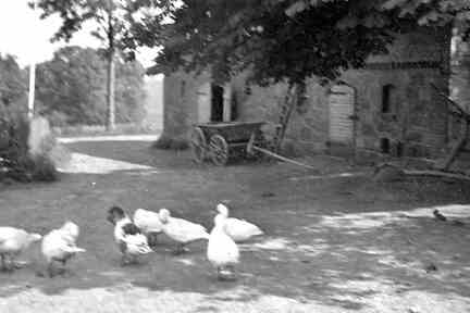 070 0057 Der Hof der Familien Kodlin und Kirchbruecher in Nehne