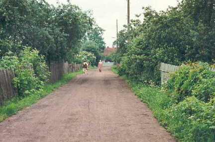 071 1004 Eine Strasse in Paterswalde im Juni 1995