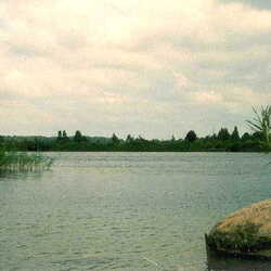 Paterswalde 071