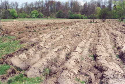 071 1034 Die Pflugfurche zu Kartoffeln an der Alle im April 2002