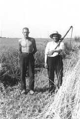 072 0004 Ernst Naujok mit seinem Sohn Ernst im Jahre 1937 bei der Ernte