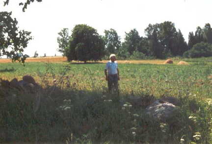 072 1004 Pelkeninken im Juni 1992 hier stand einmal das Haus der Familie Zubel