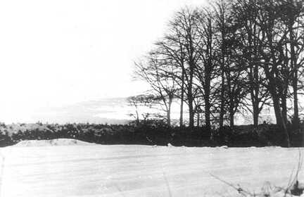 074 0011 Blick vom Garten des Gutes Jodeiken in Richtung Leipener Forst