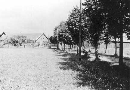 074 0012 Auffahrt zum Gutshof Jodeiken in Pettkuhnen