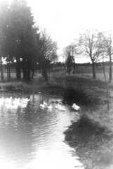 074 0018 Ein kleiner Teich an dem Weg vom Gut nach Pettkuhnen