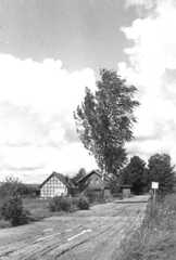 074 0054 Die Strasse nach Schorkenicken in Pettkuhnen