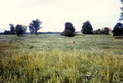 074 1001 Jodeiken im Sommer 1992 Hier stand bis 1945 das Gut Jodeiken