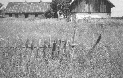 074 1007 Der letzte noch vorhandene Hof in Pettkuhnen im Juni 1992 Gehoerte er Bauer Jurr Foto E Pick