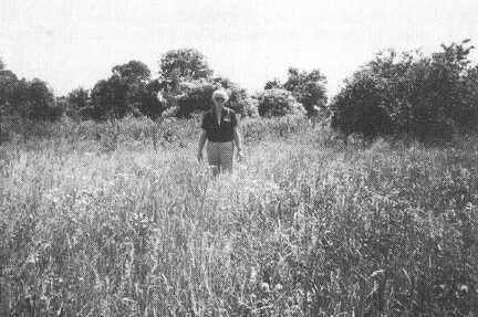 074 1008 Pettkuhnen 1994 Gerhard Neumann auf der Staette des frueheren elterlichen Hofes Buergermeisterei Foto E Pick