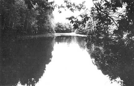 075 0024 Der Fischteich im Eichwaeldchen bei Dettmitten