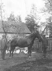 075 0026 Dettmitten Im Hof von Bauer August Heinrich links im Bild Herr Heinrich