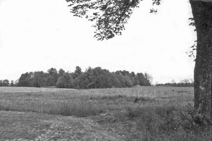 075 0028 Blick auf den Totenberg in Klein Plauen