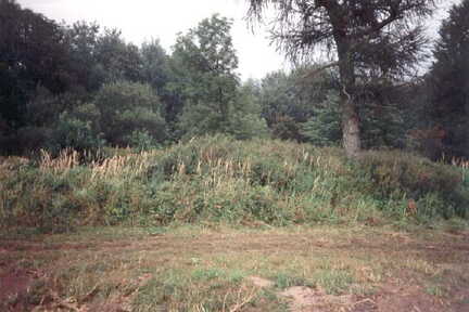 075 1019 Der Friedhof in Plauen im September 1991