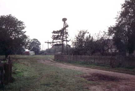 075 1024 Ein Storchennest im Garten Sommer im September 1991