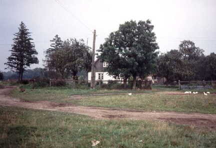 075 1025 Dorfanger Plauen und das Haus Heinrich im September 1991