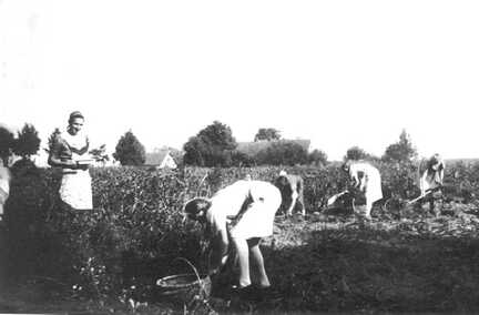 076 0014 Berufswettkampf auf dem Feld