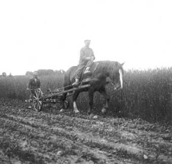 076 0034 Feldarbeit bei Landwirt Ebel