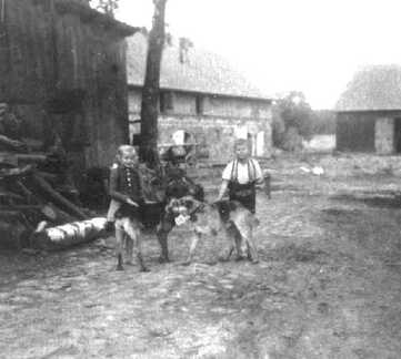 076 0044 Die Kinder spielen mit den Hunden