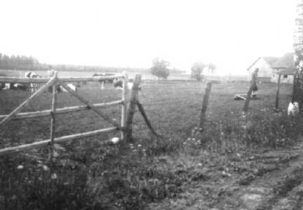 076 0045 Die Viehweide des Landwirtes Ebel