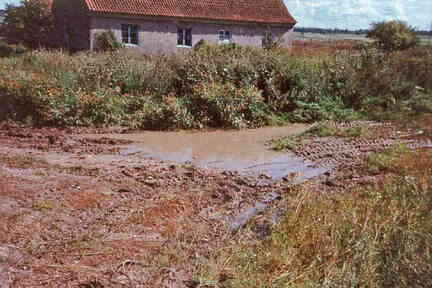 077 1017 Plompen im Jahre 1993 Der Weg nach Weidlacken