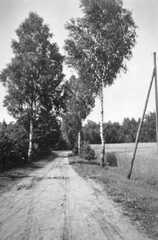 078 0043 Ein Sandweg bei Pogirmen