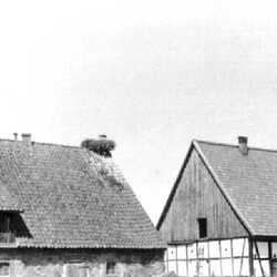 Pomedien bis 1945