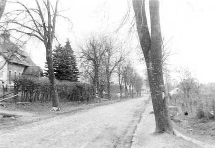 079 0014 Dorfstrasse mit Blick in Richtung Wehlau