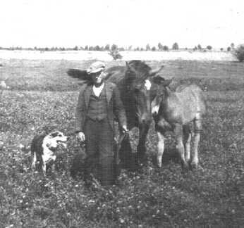 080 0020 Fritz Vogel aus Pregelswalde mit Hund Stute und Fohlen