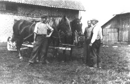 081 0010 Bauer Huppke Pareyken mit Willy Radtke und dem Polen Jan