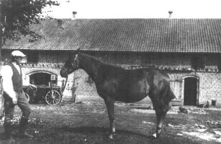 081 0013 Bauer Ernst Steppat auf seinem Hof in Pareyken
