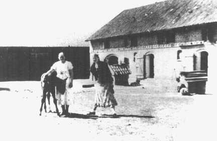081 0014 Auf dem Hof von Bauer Ernst Steppat in Pareyken Die beiden Schwestern Gertrud und Friedel