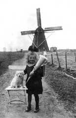 081 0029 Reinlacken am 12 04 1934 1 Schultag von Vera Liedtke mit Hund Ucki vor der Windmuehle von Julius Liedtke