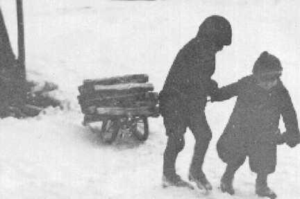 082 0011 Erich und Elfriede Stoermer beim Holzholen