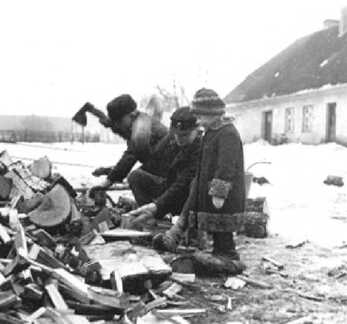 082 0030 Beim Holzhacken im Hof Fritz Stoermer
