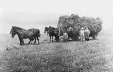 082 0039 Schwolgehnen Erntearbeit auf dem Felde Kiepert